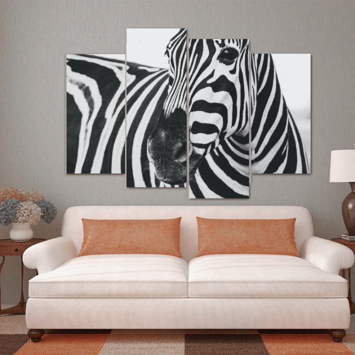 Zebra - 4 részes